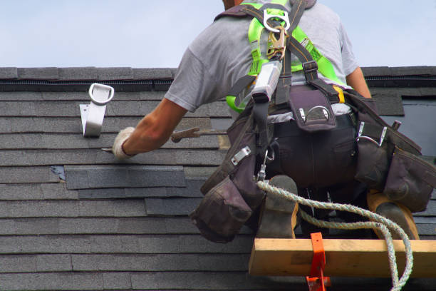 Best Roof Insulation Installation  in Braddock, VA