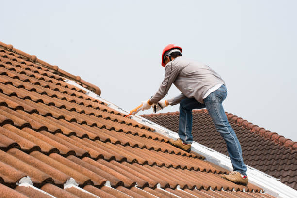 Best Slate Roofing  in Braddock, VA